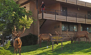 Thunderbird Lodge Grand Canyon Εξωτερικό φωτογραφία